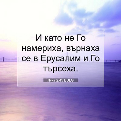 Picture 07 - Лука 2:45 BULG - И като не Го намериха, - Bible Verse Picture
