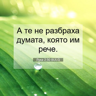 Picture 07 - Лука 2:50 BULG - А те не разбраха думата, - Bible Verse Picture