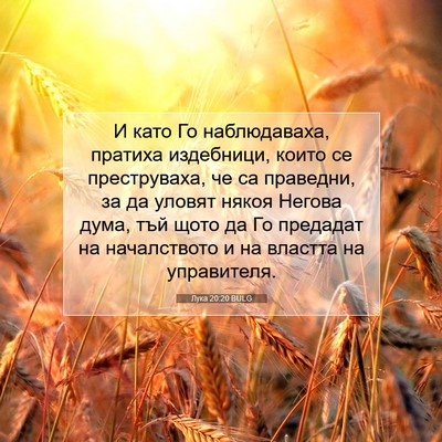 Picture 07 - Лука 20:20 BULG - И като Го наблюдаваха, - Bible Verse Picture