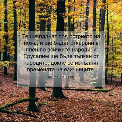 Picture 07 - Лука 21:24 BULG - Те ще паднат под острието - Bible Verse Picture