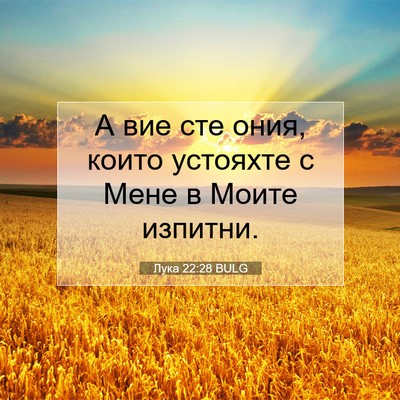 Picture 07 - Лука 22:28 BULG - А вие сте ония, които - Bible Verse Picture