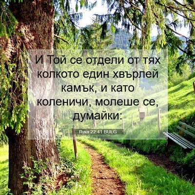 Picture 07 - Лука 22:41 BULG - И Той се отдели от тях - Bible Verse Picture