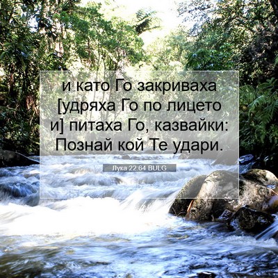 Picture 07 - Лука 22:64 BULG - и като Го закриваха [удряха - Bible Verse Picture