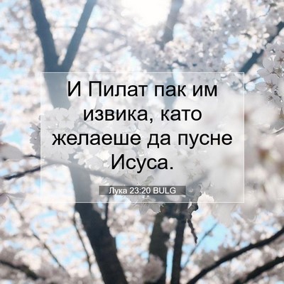 Picture 07 - Лука 23:20 BULG - И Пилат пак им извика, като - Bible Verse Picture