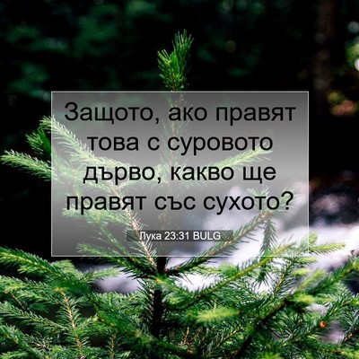 Picture 07 - Лука 23:31 BULG - Защото, ако правят това с - Bible Verse Picture