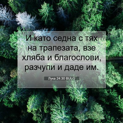 Picture 07 - Лука 24:30 BULG - И като седна с тях на - Bible Verse Picture