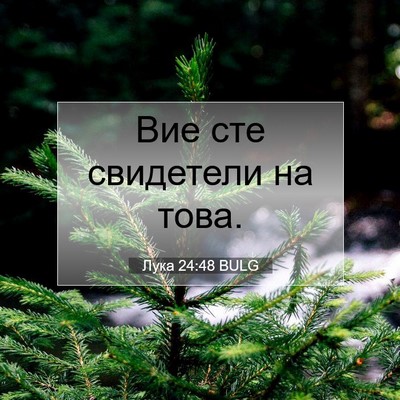 Picture 07 - Лука 24:48 BULG - Вие сте свидетели на - Bible Verse Picture