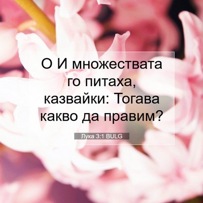 Picture 07 - Лука 3:1 BULG - О И множествата го питаха, - Bible Verse Picture