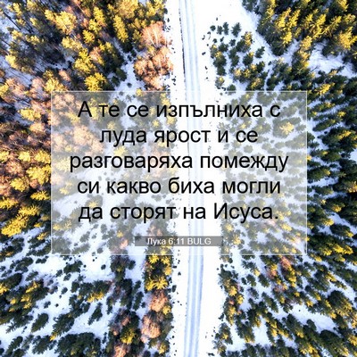 Picture 07 - Лука 6:11 BULG - А те се изпълниха с луда - Bible Verse Picture