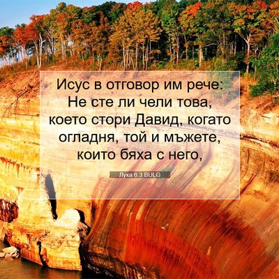 Picture 07 - Лука 6:3 BULG - Исус в отговор им рече: Не - Bible Verse Picture
