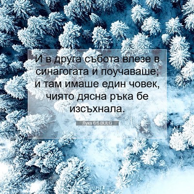 Picture 07 - Лука 6:6 BULG - И в друга събота влезе в - Bible Verse Picture