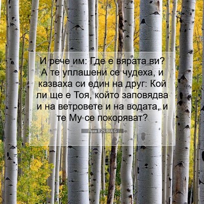 Picture 07 - Лука 8:25 BULG - И рече им: Где е вярата ви? А - Bible Verse Picture