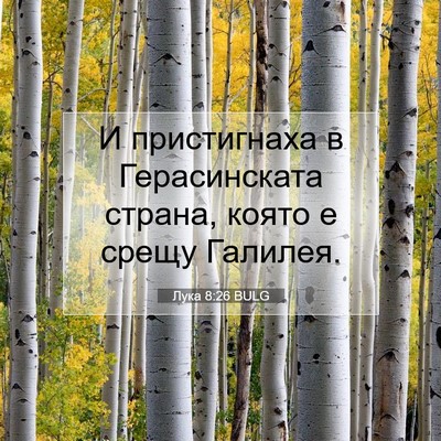 Picture 07 - Лука 8:26 BULG - И пристигнаха в - Bible Verse Picture