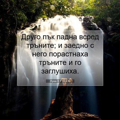 Picture 07 - Лука 8:7 BULG - Друго пък падна всред - Bible Verse Picture
