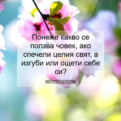 Picture 07 - Лука 9:25 BULG - Понеже какво се ползва - Bible Verse Picture