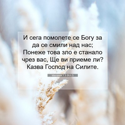 Picture 07 - Малахия 1:9 BULG - И сега помолете се Богу за - Bible Verse Picture