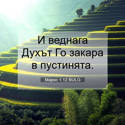 Picture 07 - Марко 1:12 BULG - И веднага Духът Го закара в - Bible Verse Picture