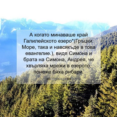 Picture 07 - Марко 1:16 BULG - А когато минаваше край - Bible Verse Picture
