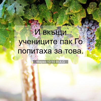 Picture 07 - Марко 10:10 BULG - И вкъщи учениците пак Го - Bible Verse Picture