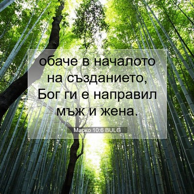 Picture 07 - Марко 10:6 BULG - обаче в началото на - Bible Verse Picture