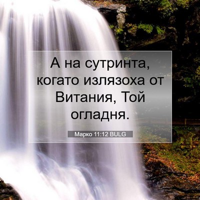 Picture 07 - Марко 11:12 BULG - А на сутринта, когато - Bible Verse Picture