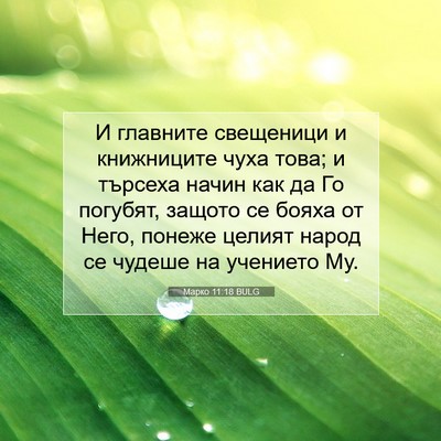 Picture 07 - Марко 11:18 BULG - И главните свещеници и - Bible Verse Picture