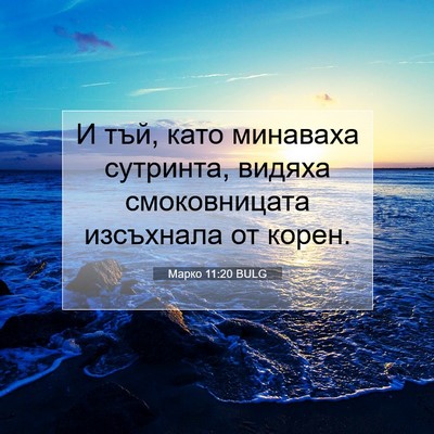 Picture 07 - Марко 11:20 BULG - И тъй, като минаваха - Bible Verse Picture