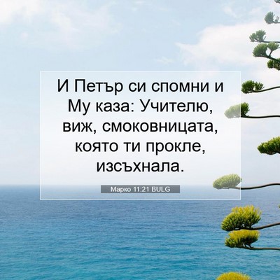 Picture 07 - Марко 11:21 BULG - И Петър си спомни и Му каза: - Bible Verse Picture
