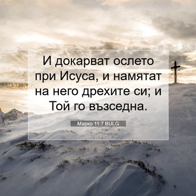 Picture 07 - Марко 11:7 BULG - И докарват ослето при - Bible Verse Picture