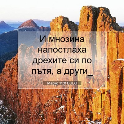 Picture 07 - Марко 11:8 BULG - И мнозина напостлаха - Bible Verse Picture