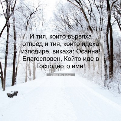 Picture 07 - Марко 11:9 BULG - И тия, които вървяха отпред - Bible Verse Picture