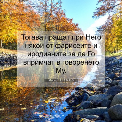 Picture 07 - Марко 12:13 BULG - Тогава пращат при Него - Bible Verse Picture