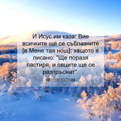 Picture 07 - Марко 14:27 BULG - И Исус им каза: Вие - Bible Verse Picture