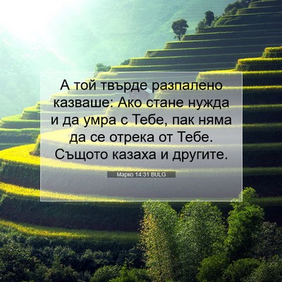 Picture 07 - Марко 14:31 BULG - А той твърде разпалено - Bible Verse Picture
