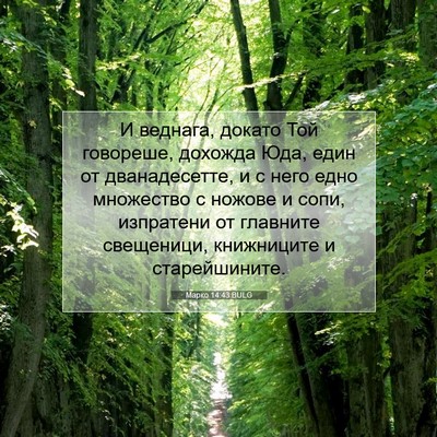 Picture 07 - Марко 14:43 BULG - И веднага, докато Той - Bible Verse Picture