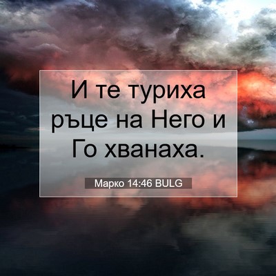 Picture 07 - Марко 14:46 BULG - И те туриха ръце на Него и - Bible Verse Picture