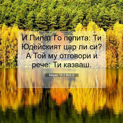 Picture 07 - Марко 15:2 BULG - И Пилат Го попита: Ти - Bible Verse Picture