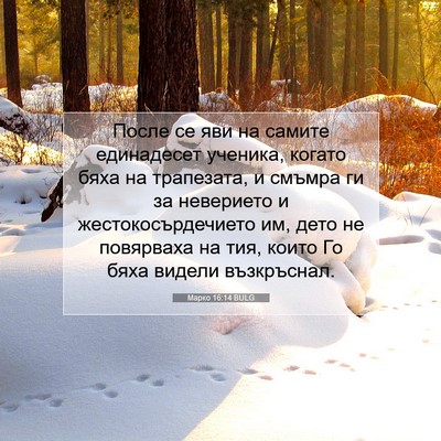 Picture 07 - Марко 16:14 BULG - После се яви на самите - Bible Verse Picture