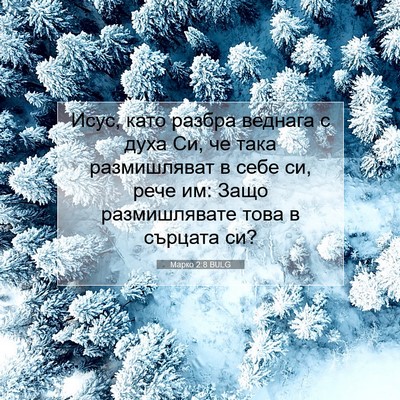 Picture 07 - Марко 2:8 BULG - Исус, като разбра веднага с - Bible Verse Picture