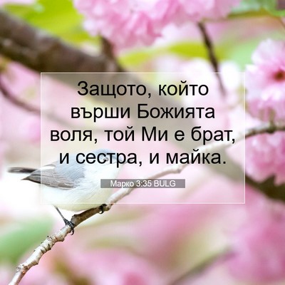 Picture 07 - Марко 3:35 BULG - Защото, който върши - Bible Verse Picture