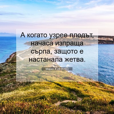 Picture 07 - Марко 4:29 BULG - А когато узрее плодът, - Bible Verse Picture