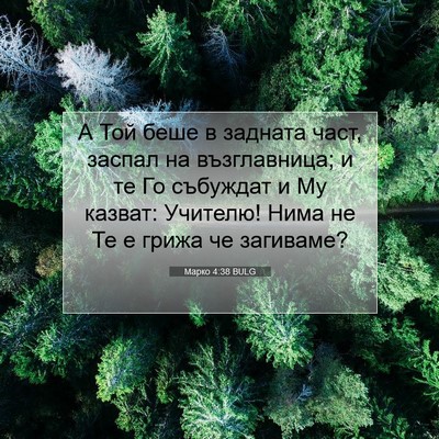 Picture 07 - Марко 4:38 BULG - А Той беше в задната част, - Bible Verse Picture