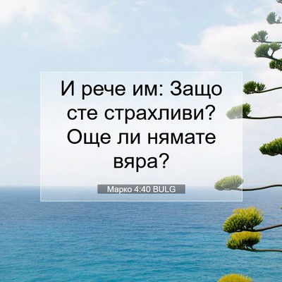 Picture 07 - Марко 4:40 BULG - И рече им: Защо сте - Bible Verse Picture