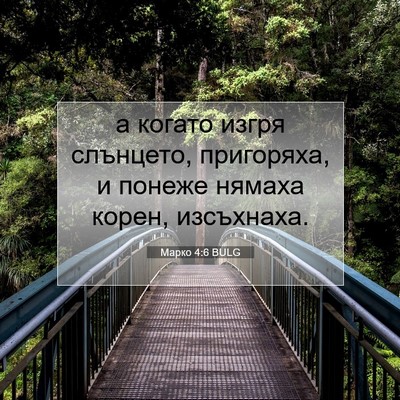 Picture 07 - Марко 4:6 BULG - а когато изгря слънцето, - Bible Verse Picture
