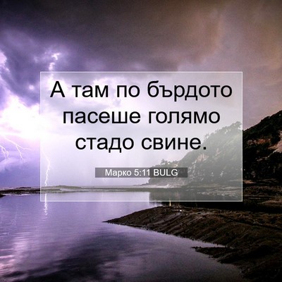 Picture 07 - Марко 5:11 BULG - А там по бърдото пасеше - Bible Verse Picture