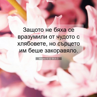 Picture 07 - Марко 6:52 BULG - Защото не бяха се - Bible Verse Picture