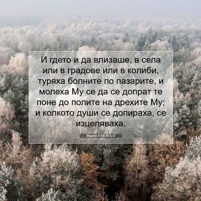 Picture 07 - Марко 6:56 BULG - И гдето и да влизаше, в села - Bible Verse Picture