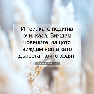 Picture 07 - Марко 8:24 BULG - И той, като подигна очи, - Bible Verse Picture
