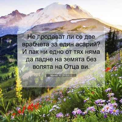 Picture 07 - Матей 10:29 BULG - Не продават ли се две - Bible Verse Picture