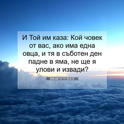 Picture 07 - Матей 12:11 BULG - И Той им каза: Кой човек от - Bible Verse Picture